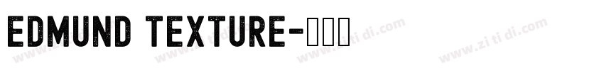 Edmund Texture字体转换